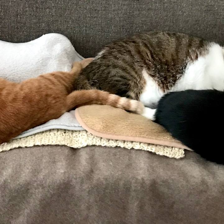 0b171b0c 9ec6 44a2 a8f9 5747a8a9adc3 1576987536337