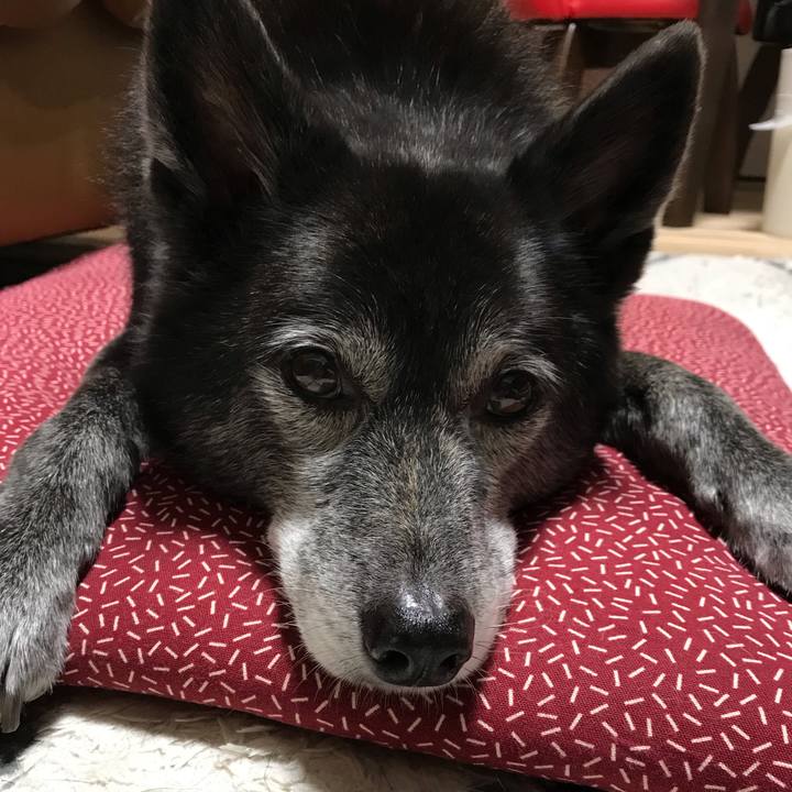 0b172a4f 3fb4 4dbf 982f cb2572c788fe 1644023969110