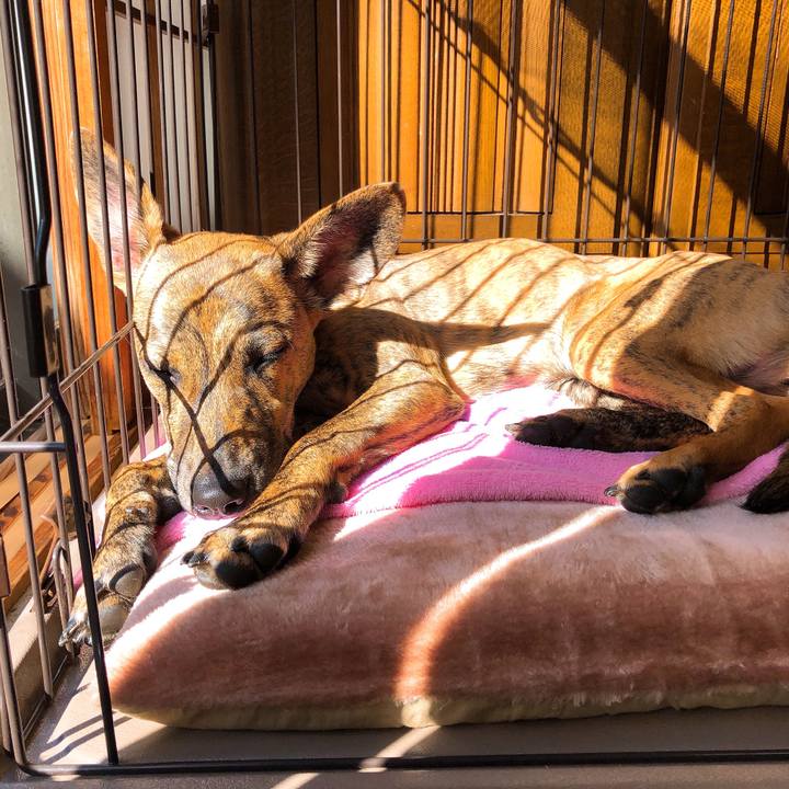 0b176415 8271 4c94 8d32 55917ef61332 1577763576551