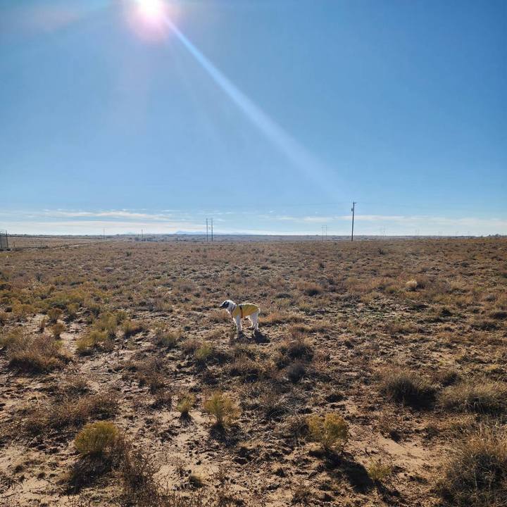 0b17e242 1c60 47fb 9ab8 494fcd07c87a 1731447856938