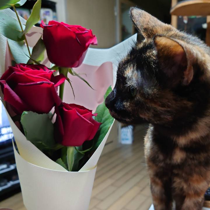 0b17eafd e5a1 4f3a bd93 5ee2bbddcf68 1710430495249