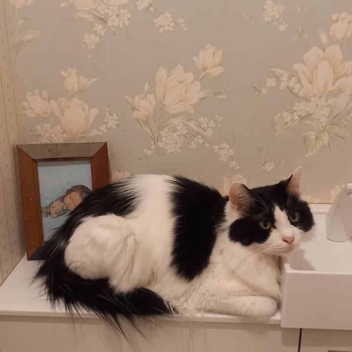 0b18066e 517a 4d5b 861d 9e35d9f71262 1665232993081