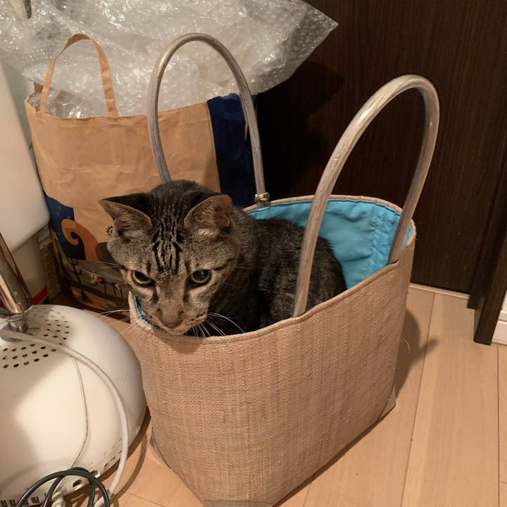 0b180f9b 573b 41e1 9457 d6b56c870ae3 1781323515376