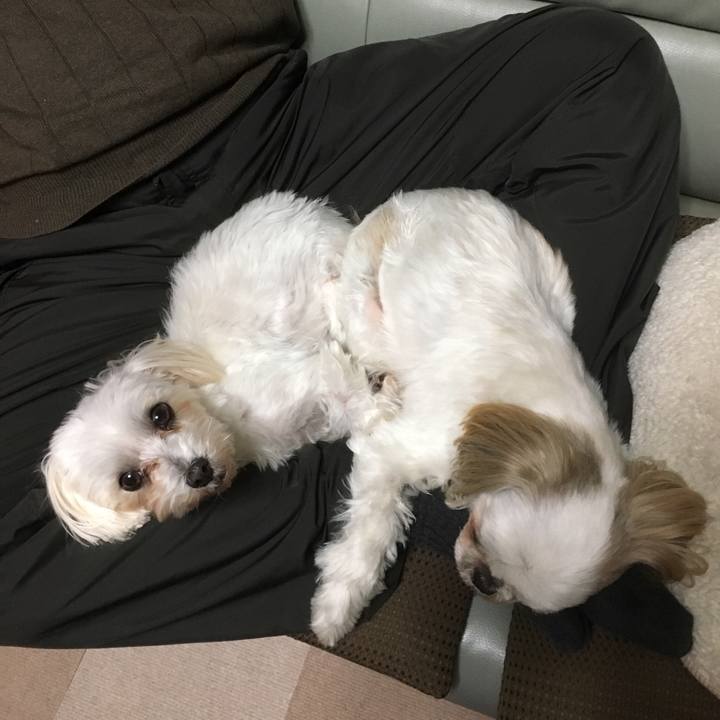 0b182b6e 2cf9 41f7 9361 04a44d459e16 1511872498839