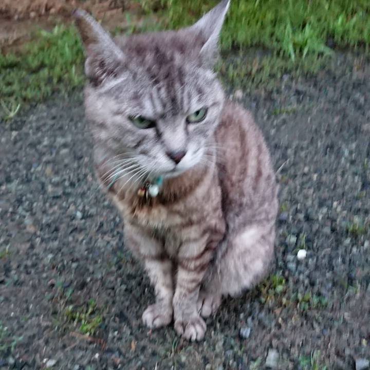 0b1884d4 70e9 47ef a383 bf6eaa7e7d03 1566984865835