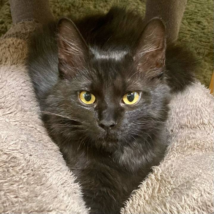 0b189fe8 f9f9 4809 8e9b 92bc8410eb40 1708648321173