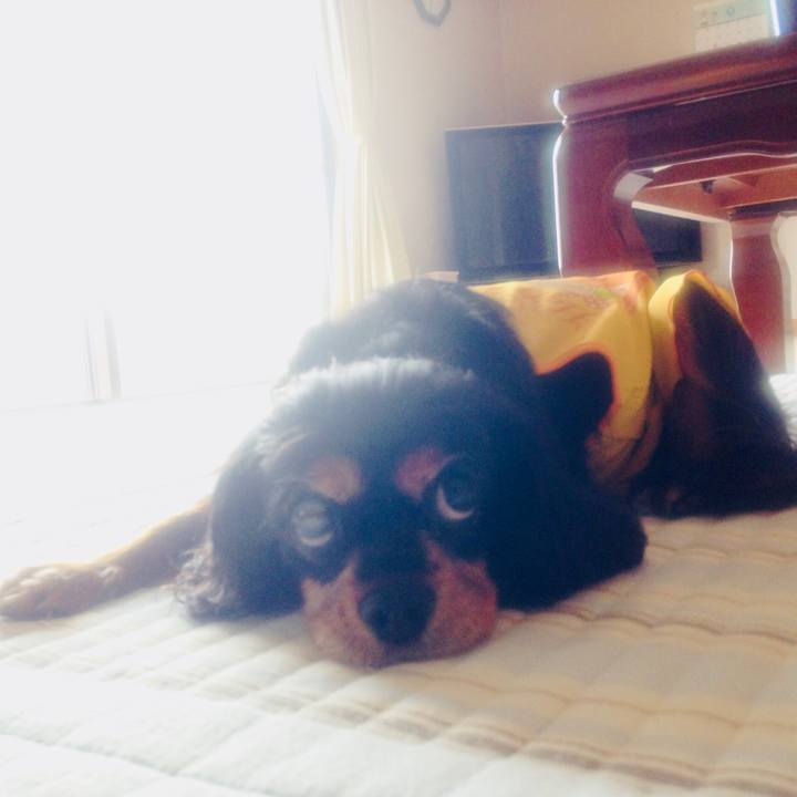 0b18ba5d 2f61 4196 8de8 944b5d2b7938 1563179183804