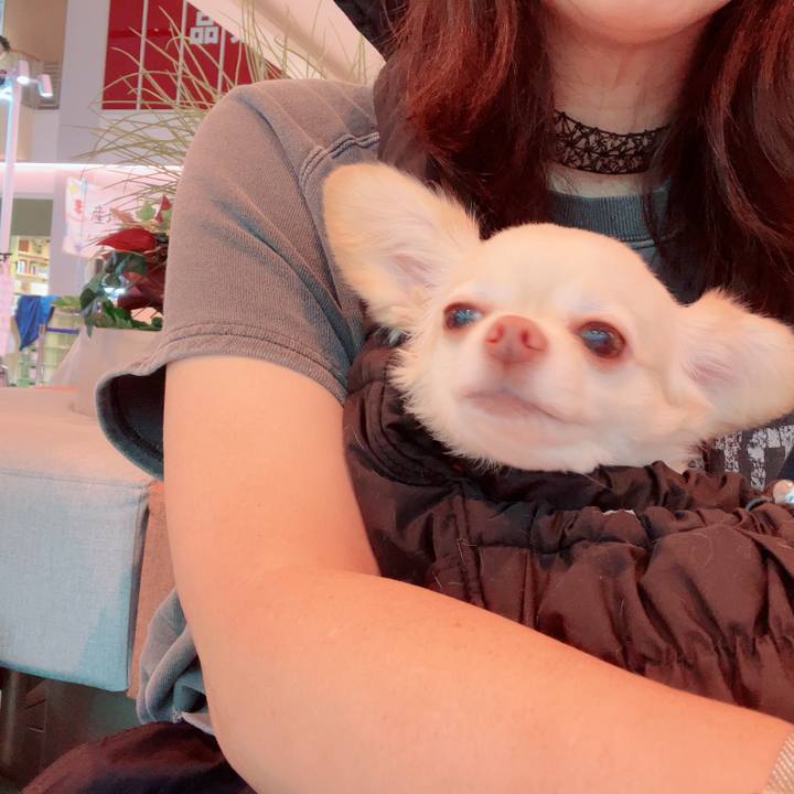 0b18e47b 63f1 4ffc 9653 87d34566305d 1760271039042