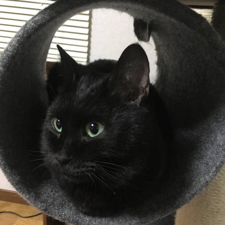 0b19024d 44b2 4318 8c05 43789dc41af5 1534475890786