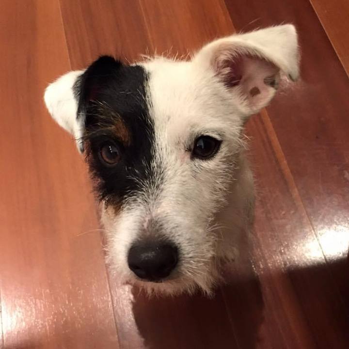 0b190dd0 36bd 464f abec 872cbb612f2b 1730070116683