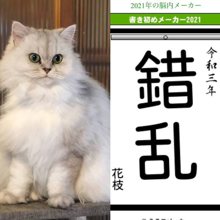 0b193969 fae9 4aa8 b623 d21e7ab6be7a 1609588666395