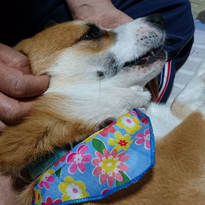 0b194321 318b 4e7f a7f4 0623275da786 1615934474004