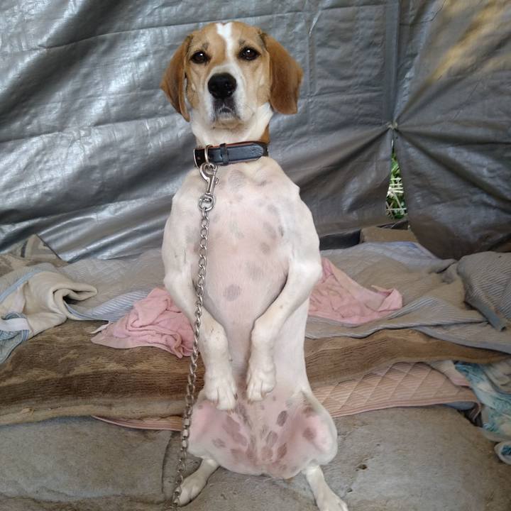 0b197dcb 5171 47db a834 39f7934cf7ef 1633930579442