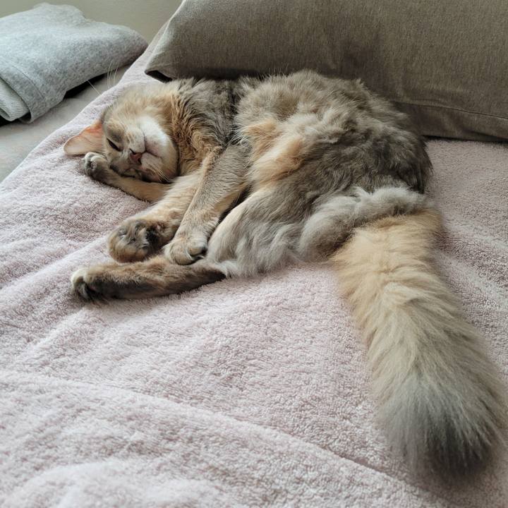 0b199175 1432 4cbf ae21 f06b2b5a5568 1632961001298