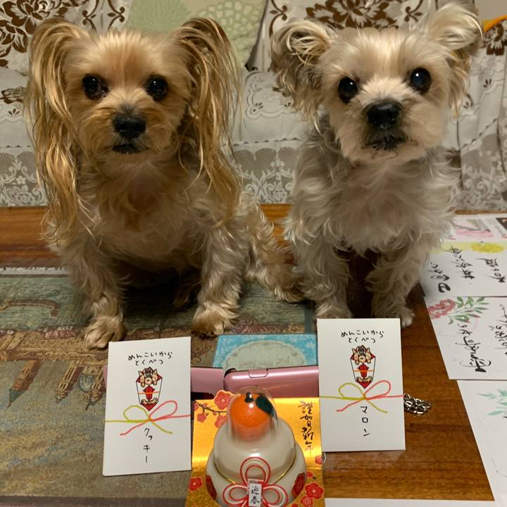 0b19c2ba ed76 44cc 8e99 55d0b6d4dc2b 1578046262108