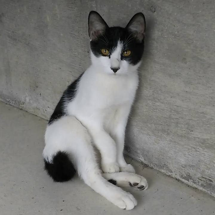 0b19c8bc 84e1 4ad6 b36c d63e35fb2923 1536927199401