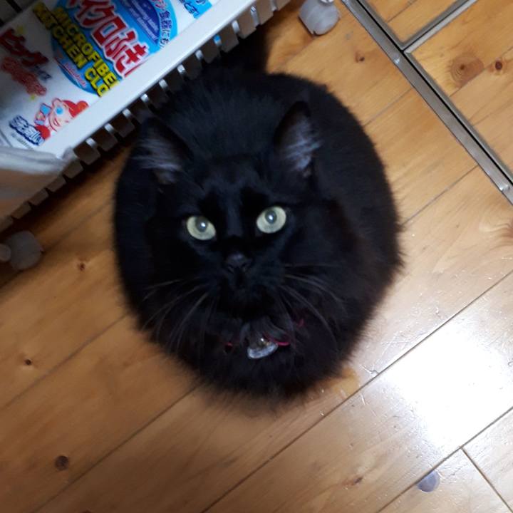 0b19d2ce 1da5 4ede 9b09 c0e8eb197736 1521799905676