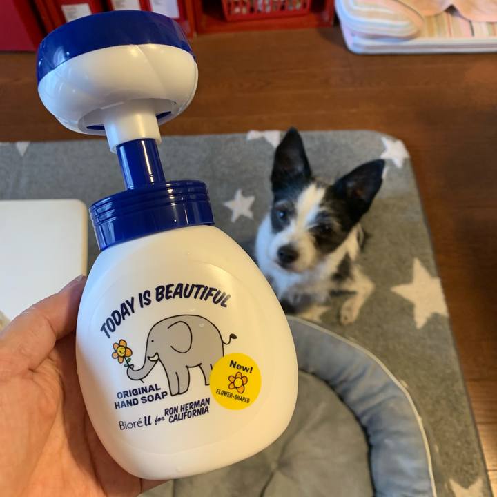 0b19ed28 be1d 4b85 bc95 8ae0e9d25055 1610355764644