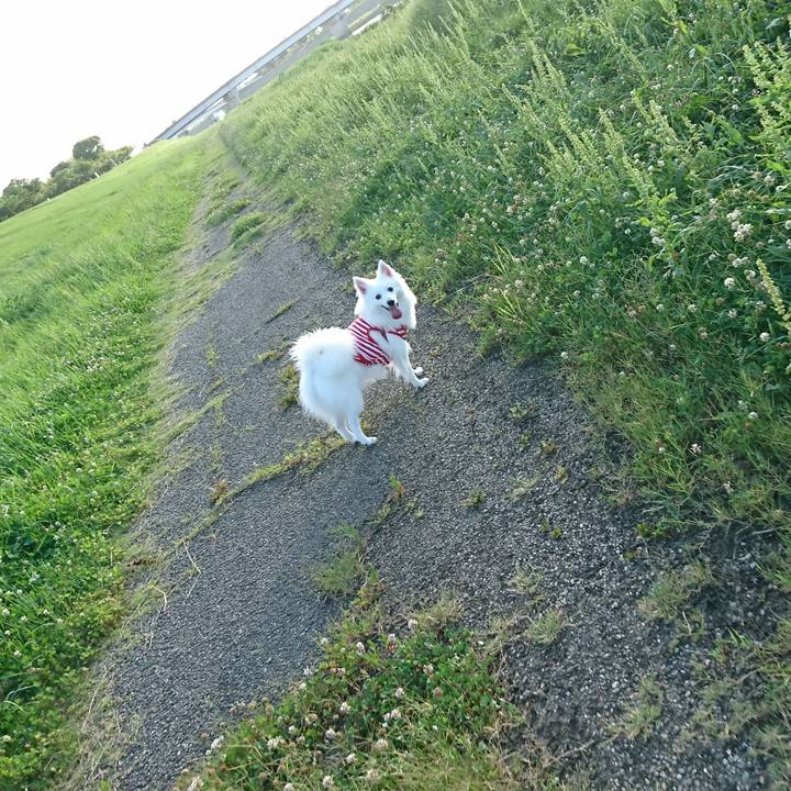 0b19f153 17db 47ce 9034 979ca40f13c9 1530435865678