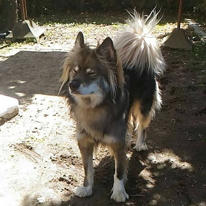 0b1a6f15 7aa4 41b4 9a70 5bb3ae3e7502 1508543231234