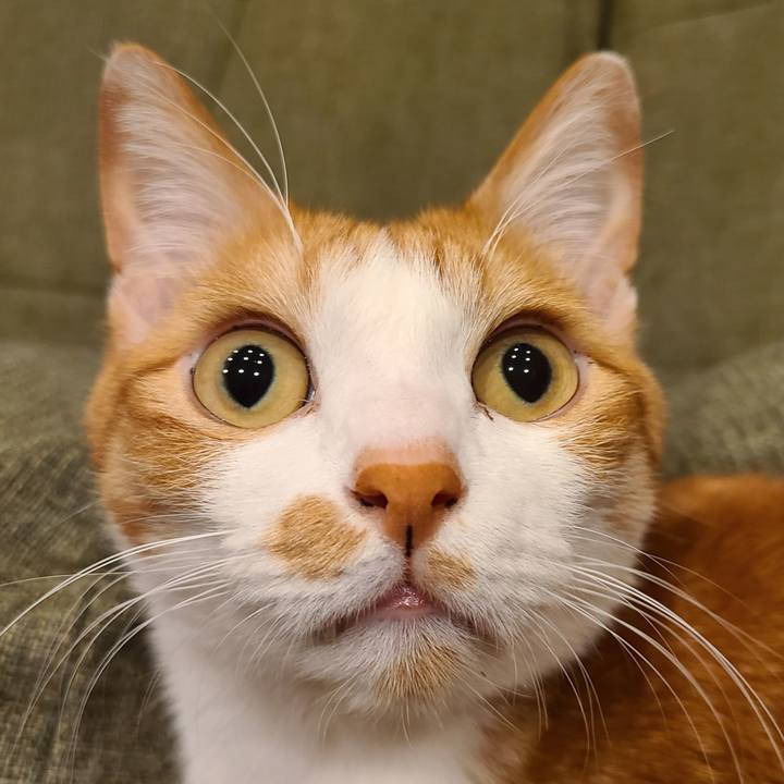 0b1af446 45a8 44bf b88f 8032b0c3887e 1610288741667