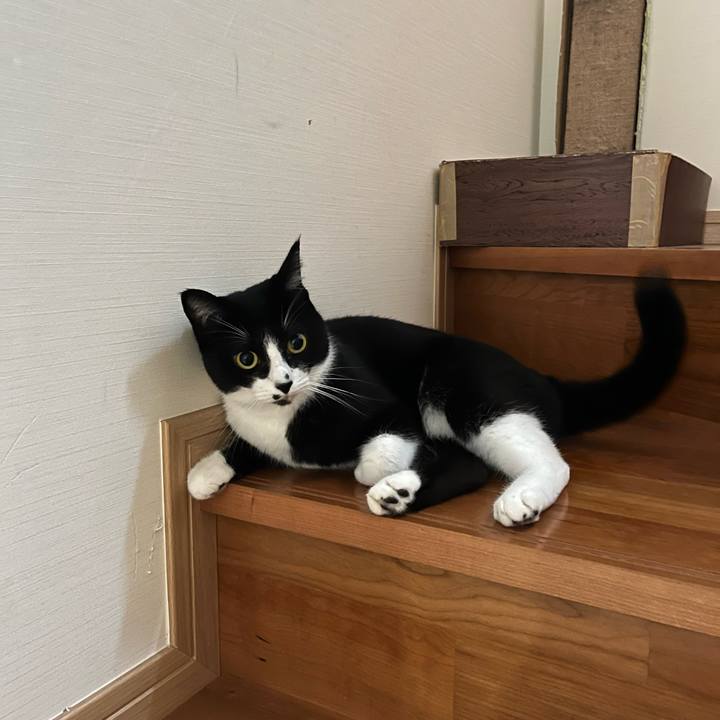 0b1b1045 c1a1 4c4f a406 17a3eff5b1bf 1695338275286