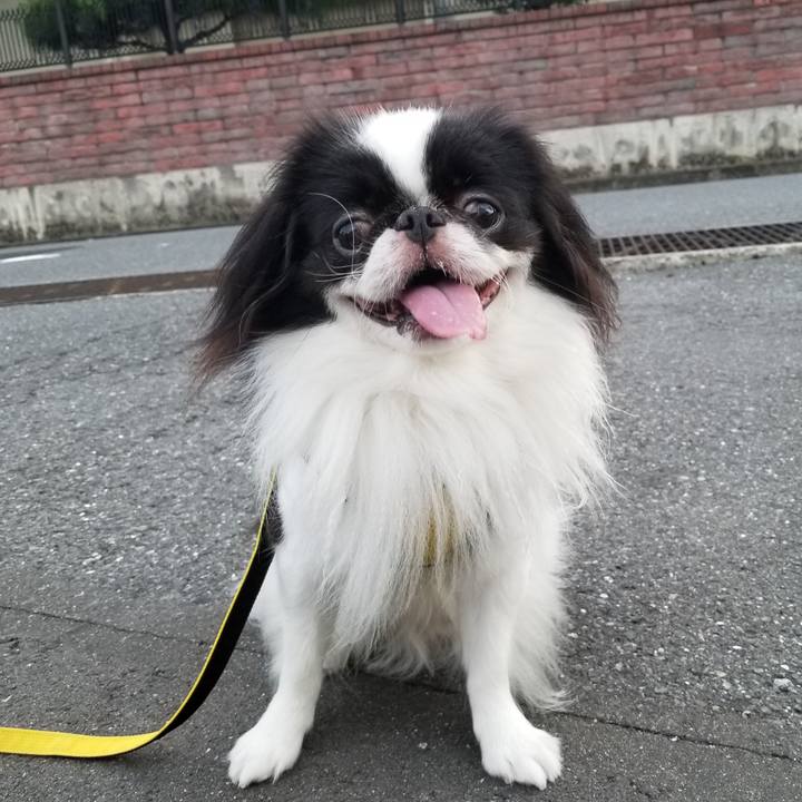 0b1b2a08 77d9 4ffc 9756 24e1d00a0239 1659586271748