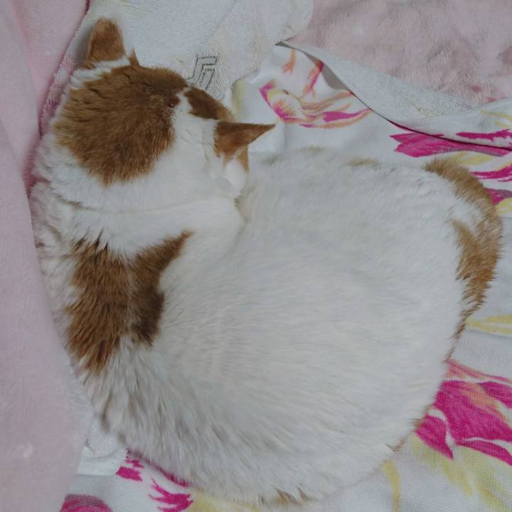 0b1b68d3 82e1 423b 93e1 be14738ed3ee 1660463772668