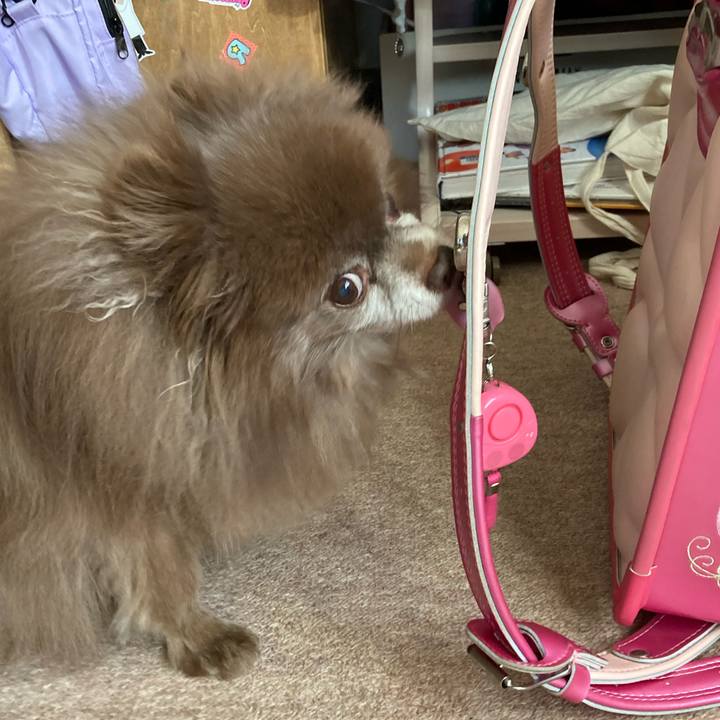 0b1b8d2e 82ca 4fff 9b99 a41580203ce9 1712788423158