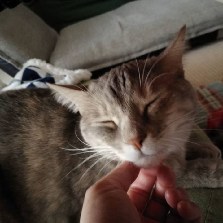 0b1bcdff f06f 4fc6 a932 817981a071b6 1542064521969