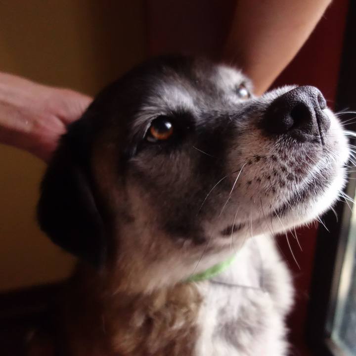 0b1be78c aa7f 47aa 8558 93d18ff73c8e 1535762309242