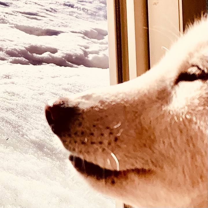 0b1bffd1 bb01 4f6e 83d4 fddd41bae15c 1647241869646