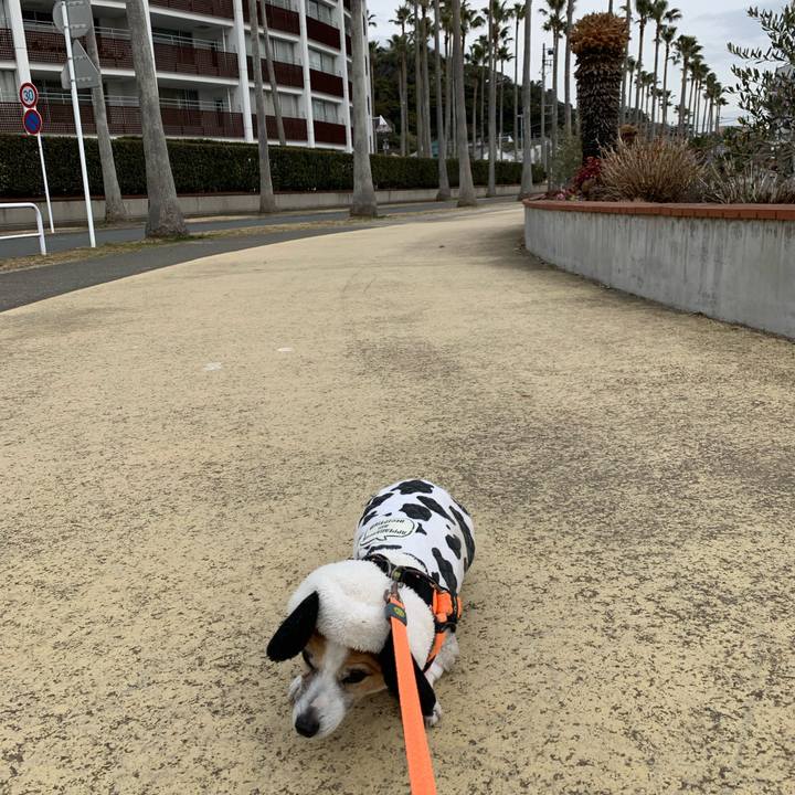 0b1c027b 3304 4f82 b0e0 21eb2437518d 1645236706400