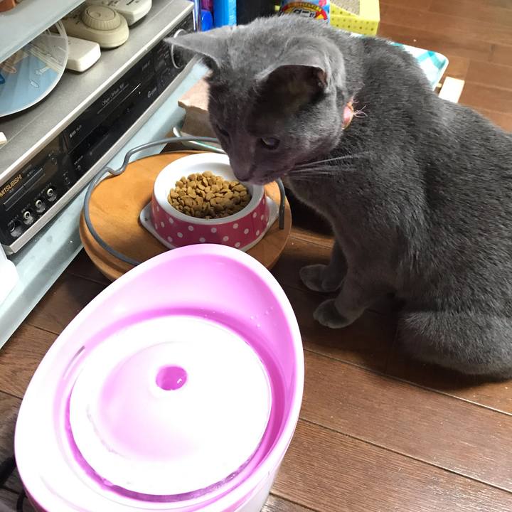 0b1c1981 5276 437b a1e8 33197ccd0ac8 1560239758734