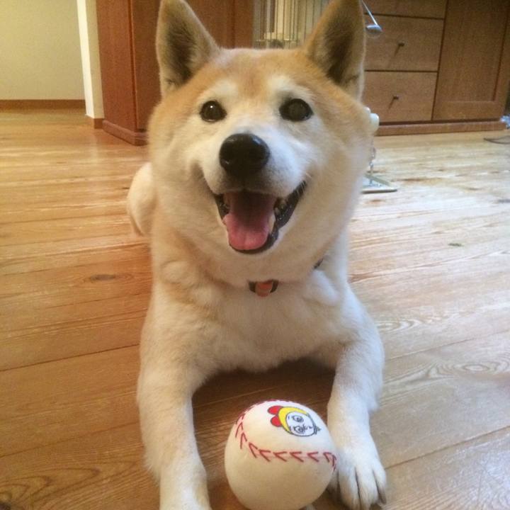 0b1c375a 1dd7 4b4b 9926 20f54afe7e7b 1520163874261