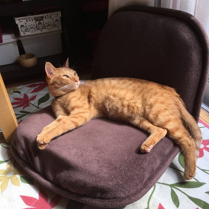 0b1c5520 3b82 42c5 9311 f35894073c86 1508728501416