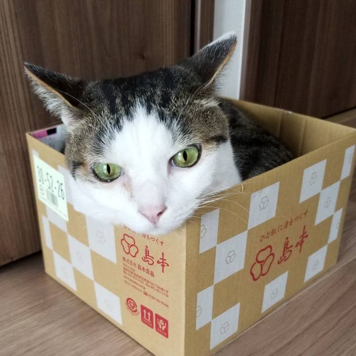 0b1c6ce9 62b1 49b0 b56e 69d8ad33e818 1560645168348