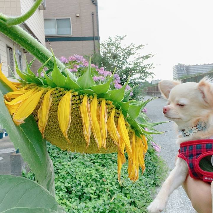 0b1d0266 a581 4784 84f8 eca9f36d412e 1624698552680