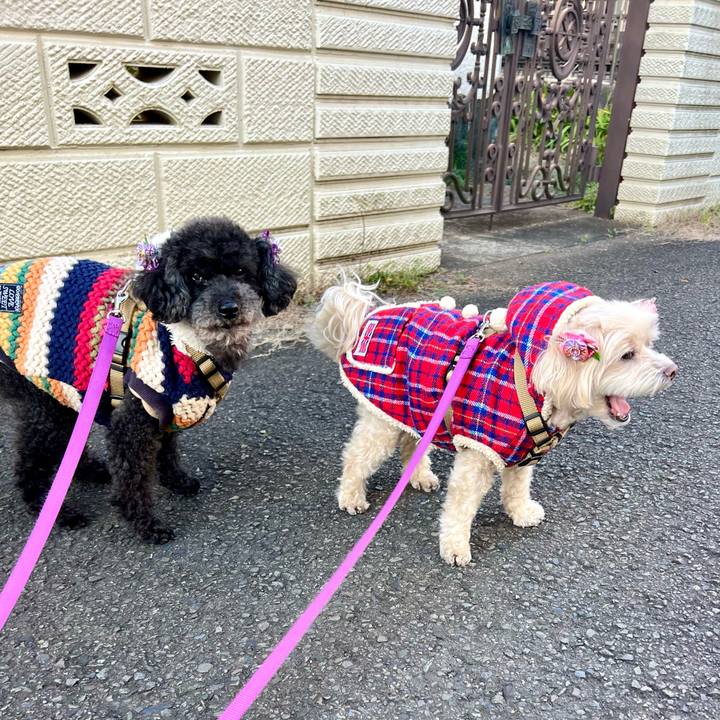 0b1d1ef9 08b7 4555 9b29 63cf95ce1946 1767341449588