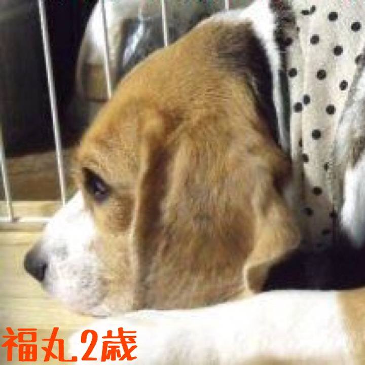 0b1d3396 1b3b 4d2b ab57 6099266ff686 1509519649342