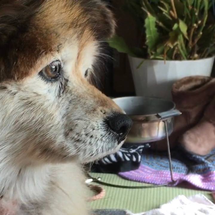 0b1dd4f6 eca0 4a3b 8a01 d11ff4c67537 1654716619342