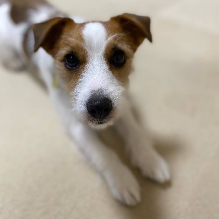 0b1e1450 7f9e 4fb1 b851 3b4595c87811 1688068782898