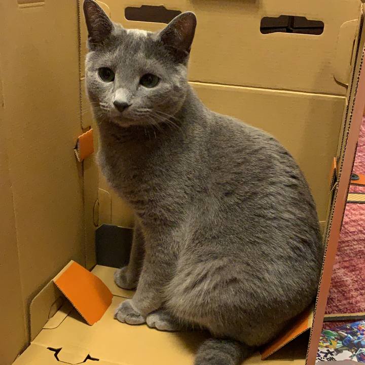 0b1e39ae df9c 4ac7 9884 1174757dfba7 1583824905068