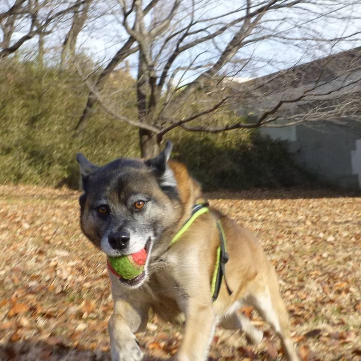 0b1ed30d edcf 4e85 9314 af27e20837c0 1581159613595