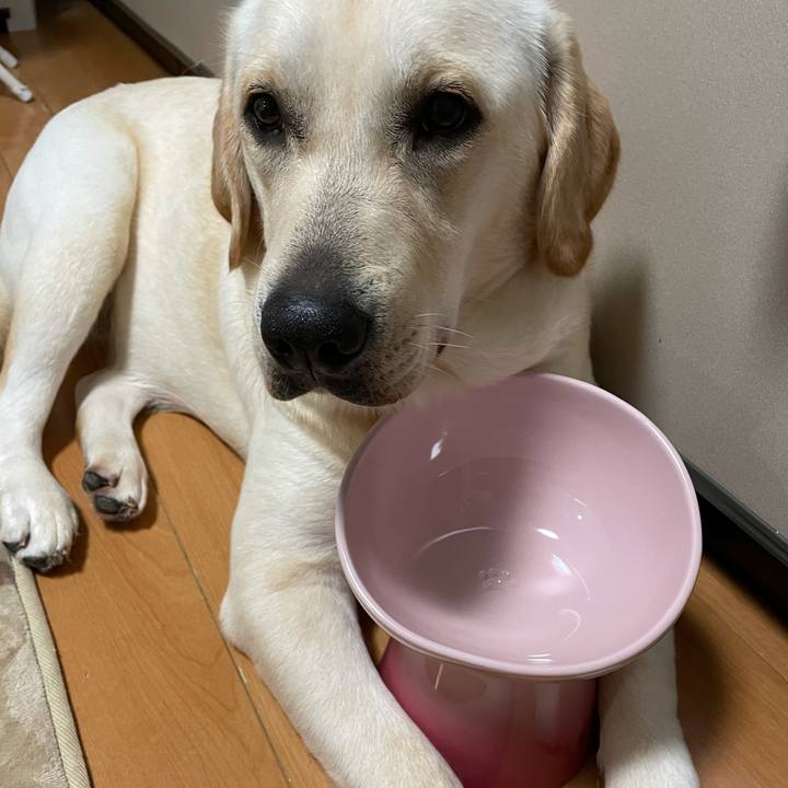 0b1edc33 58ba 42ef 9d89 1aadc985cdec 1634113588503