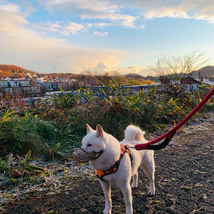 0b1ef8c0 3daf 40ba a4aa 6c4a1ccb12b6 1668550925624