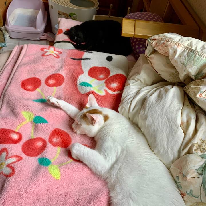 0b1f08d6 b4ac 4ca5 b2c7 dd99ed681150 1570925170113