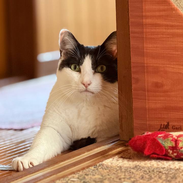 0b1f18a5 4ca2 42c4 8f5b 334dbbbc0b04 1748138947440