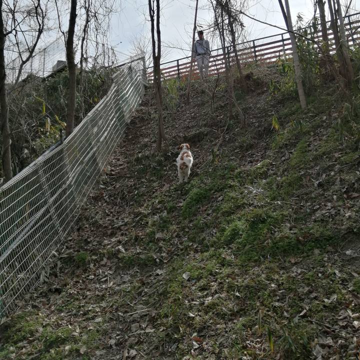 0b1f454d facf 4ce8 b4bd 23365c932e87 1582191232297