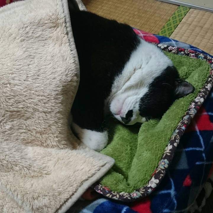 0b1f5fd3 69eb 4d8f af4a a4d4505e2392 1509976055331